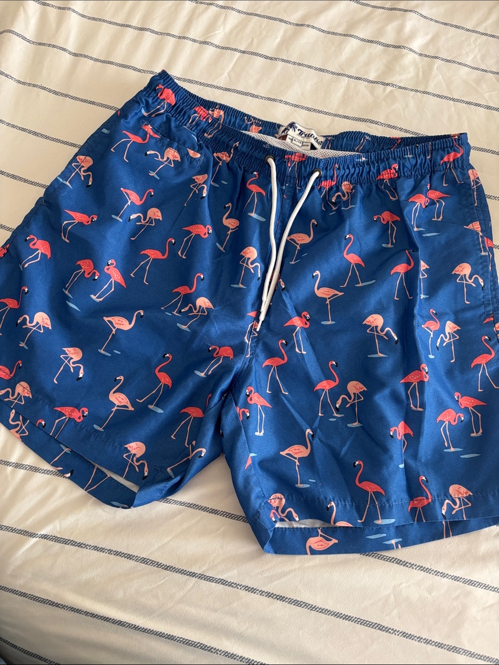 Men's Blue Flamingo Print Swim Trunks with Drawstring
